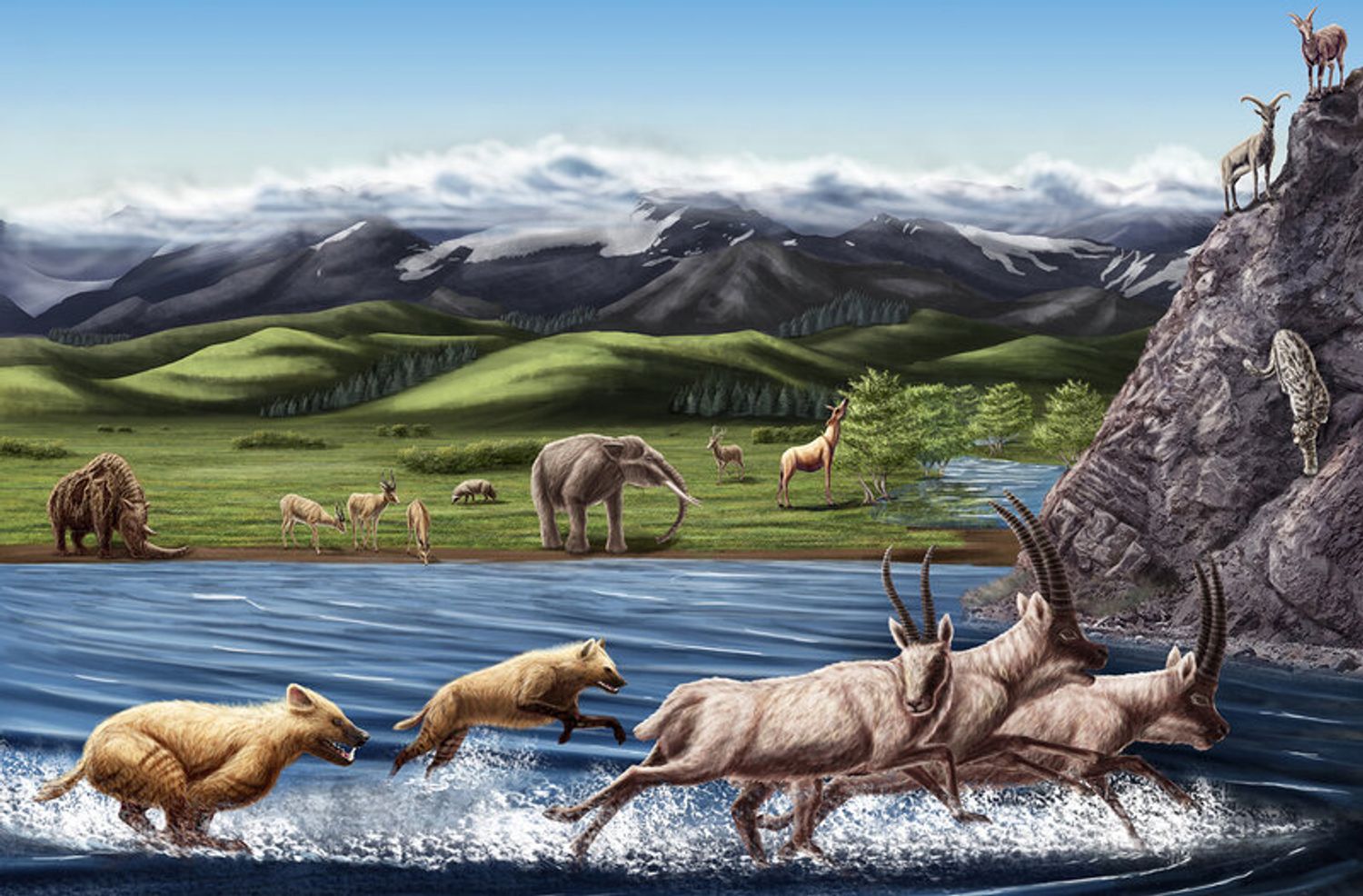Archeologist Discover Preserved Ice Age Wolfs To Ancient Camels In Yukon!